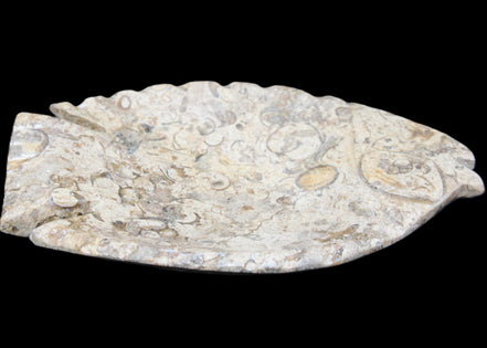 Fossil Stone hand-carved Fish platter 147*103*20mm 395g in sunlight - Rocks and Things Store