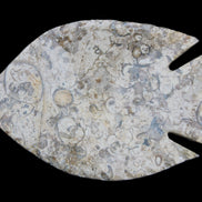Fossil Stone hand-carved Fish platter 147*103*20mm 395g in sunlight - Rocks and Things Store