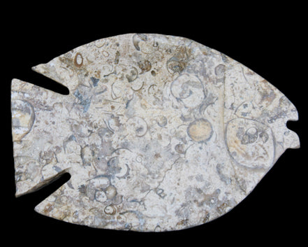 Fossil Stone hand-carved Fish platter 147*103*20mm 395g in sunlight - Rocks and Things Store
