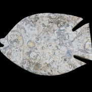 Fossil Stone hand-carved Fish platter 147*103*20mm 395g in sunlight - Rocks and Things Store