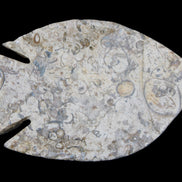 Fossil Stone hand-carved Fish platter 147*103*20mm 395g in sunlight - Rocks and Things Store