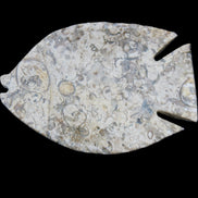 Fossil Stone hand-carved Fish platter 147*103*20mm 395g in sunlight - Rocks and Things Store