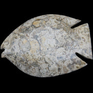 Fossil Stone hand-carved Fish platter 147*103*20mm 395g in sunlight - Rocks and Things Store