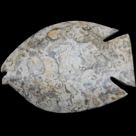 Fossil Stone hand-carved Fish platter 147*103*20mm 395g in sunlight - Rocks and Things Store
