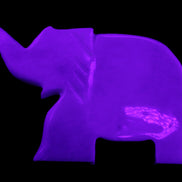 White Jade hand-carved Elephant platter 150*105*26mm 509g in UV light - Rocks and Things Store