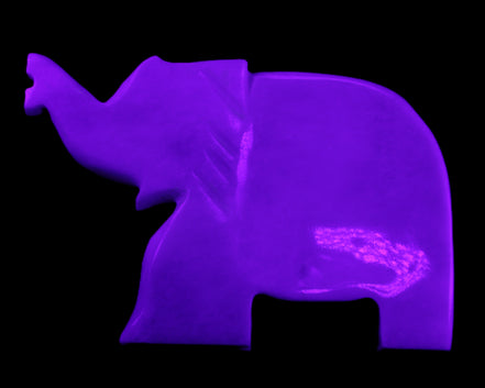 White Jade hand-carved Elephant platter 150*105*26mm 509g in UV light - Rocks and Things Store