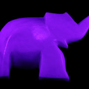 White Jade hand-carved Elephant platter 150*105*26mm 509g in UV light - Rocks and Things Store