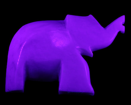 White Jade hand-carved Elephant platter 150*105*26mm 509g in UV light - Rocks and Things Store