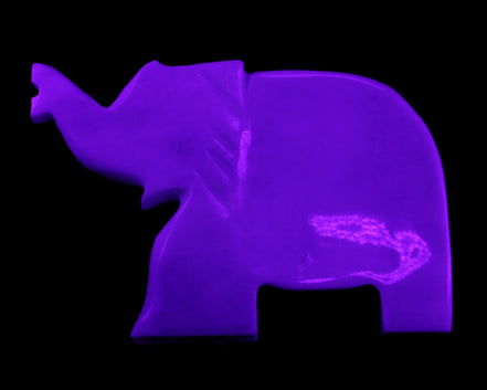 White Jade hand-carved Elephant platter 150*105*26mm 509g in UV light - Rocks and Things Store