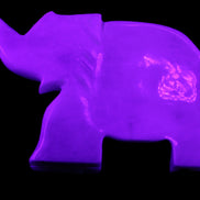 White Jade hand-carved Elephant platter 150*105*26mm 509g in UV light - Rocks and Things Store