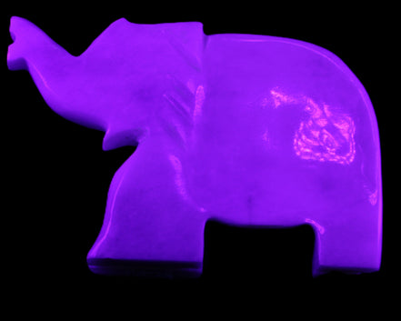 White Jade hand-carved Elephant platter 150*105*26mm 509g in UV light - Rocks and Things Store