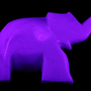 White Jade hand-carved Elephant platter 150*105*26mm 509g in UV light - Rocks and Things Store
