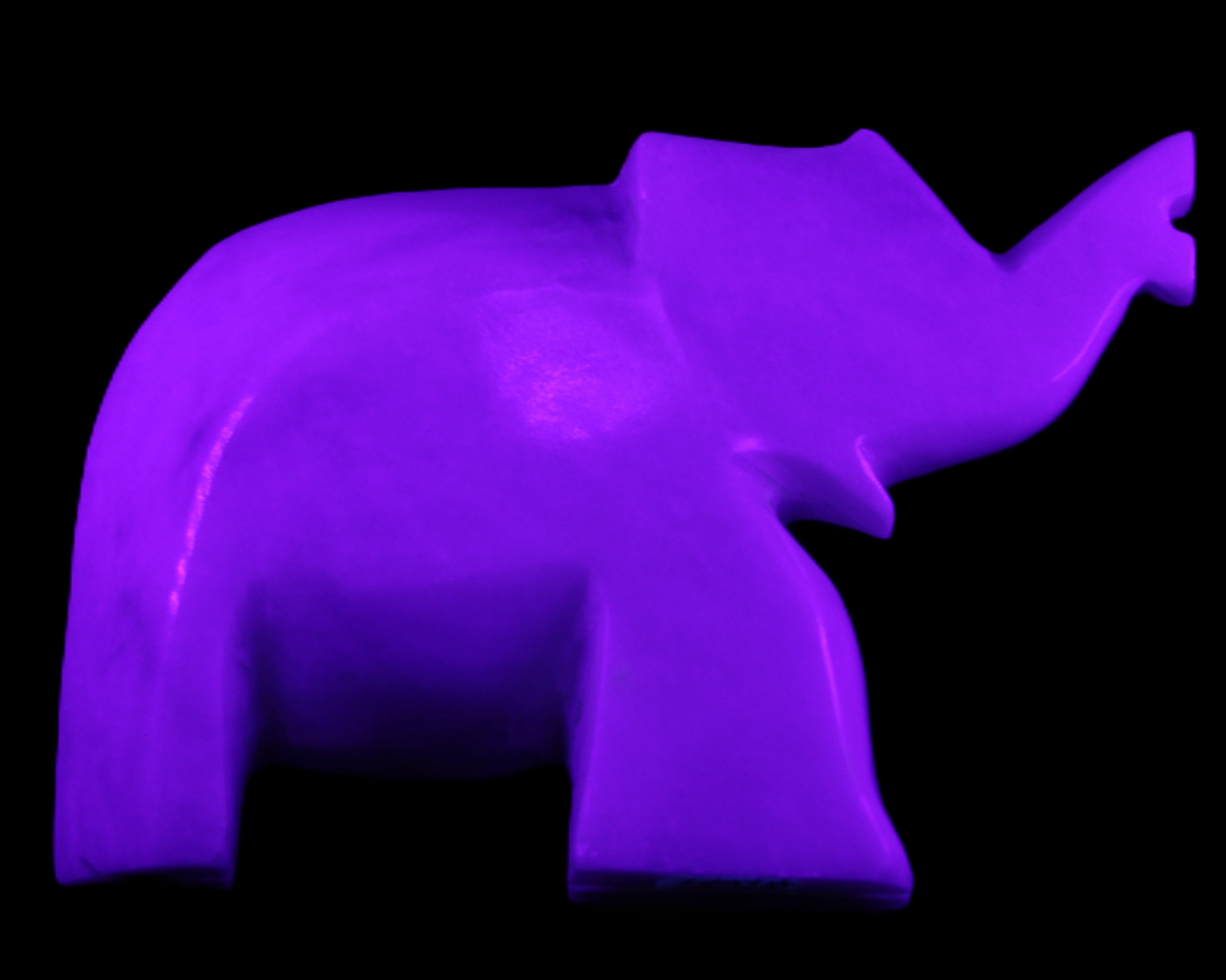 White Jade hand-carved Elephant platter 150*105*26mm 509g in UV light - Rocks and Things Store