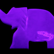White Jade hand-carved Elephant platter 150*105*26mm 509g in UV light - Rocks and Things Store