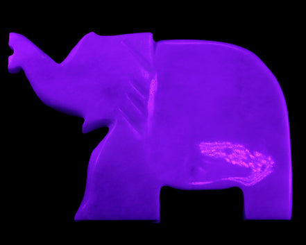 White Jade hand-carved Elephant platter 150*105*26mm 509g in UV light - Rocks and Things Store