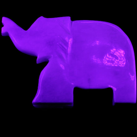 White Jade hand-carved Elephant platter 150*105*26mm 509g in UV light - Rocks and Things Store