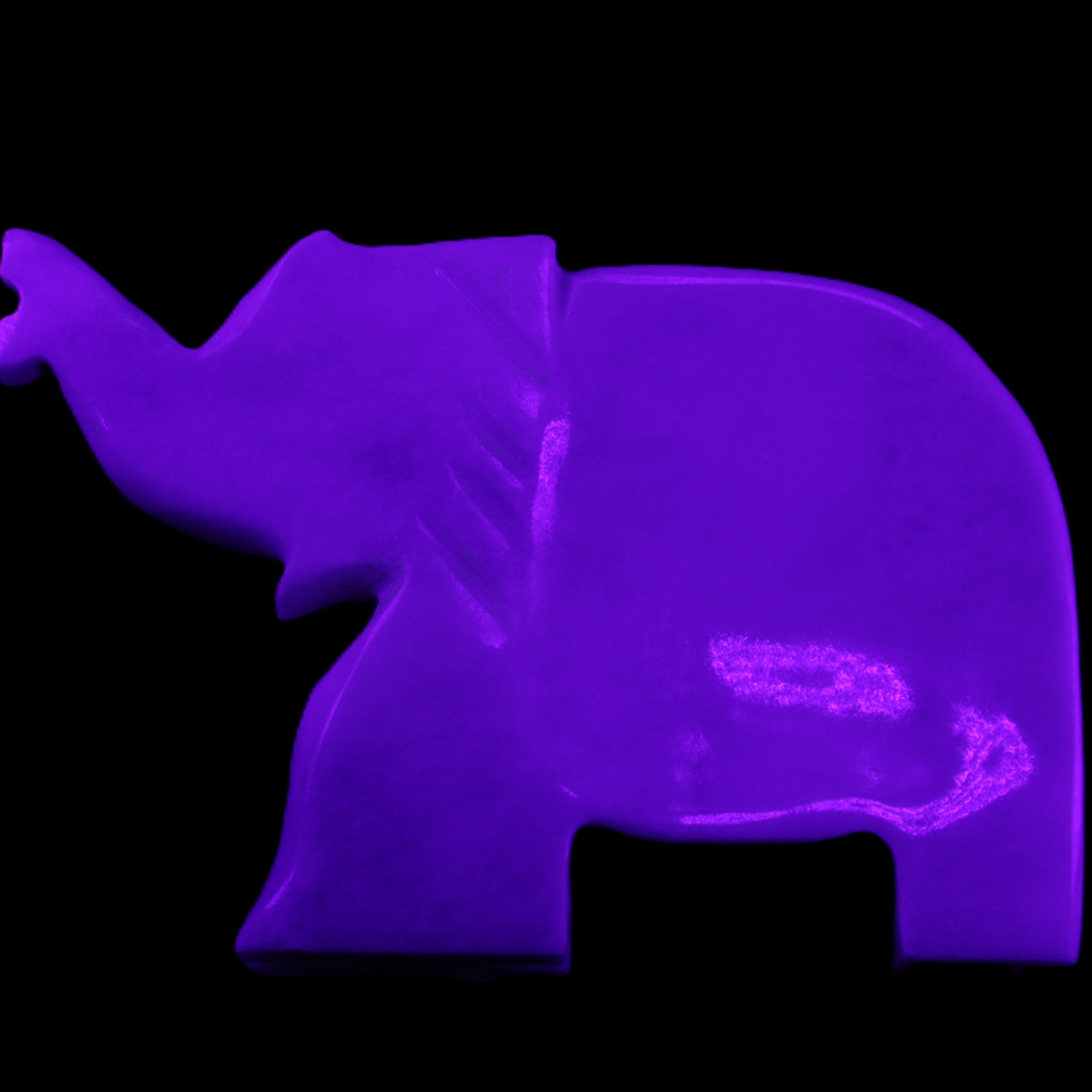 White Jade hand-carved Elephant platter 150*105*26mm 509g in UV light - Rocks and Things Store