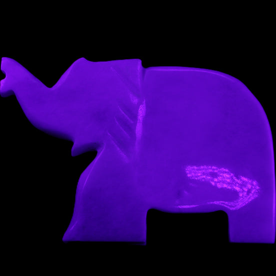 White Jade hand-carved Elephant platter 150*105*26mm 509g in UV light - Rocks and Things Store