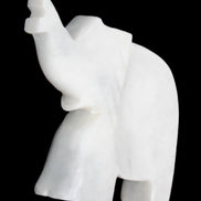 White Jade hand-carved Elephant platter 150*105*26mm 509g in sunlight - Rocks and Things Store