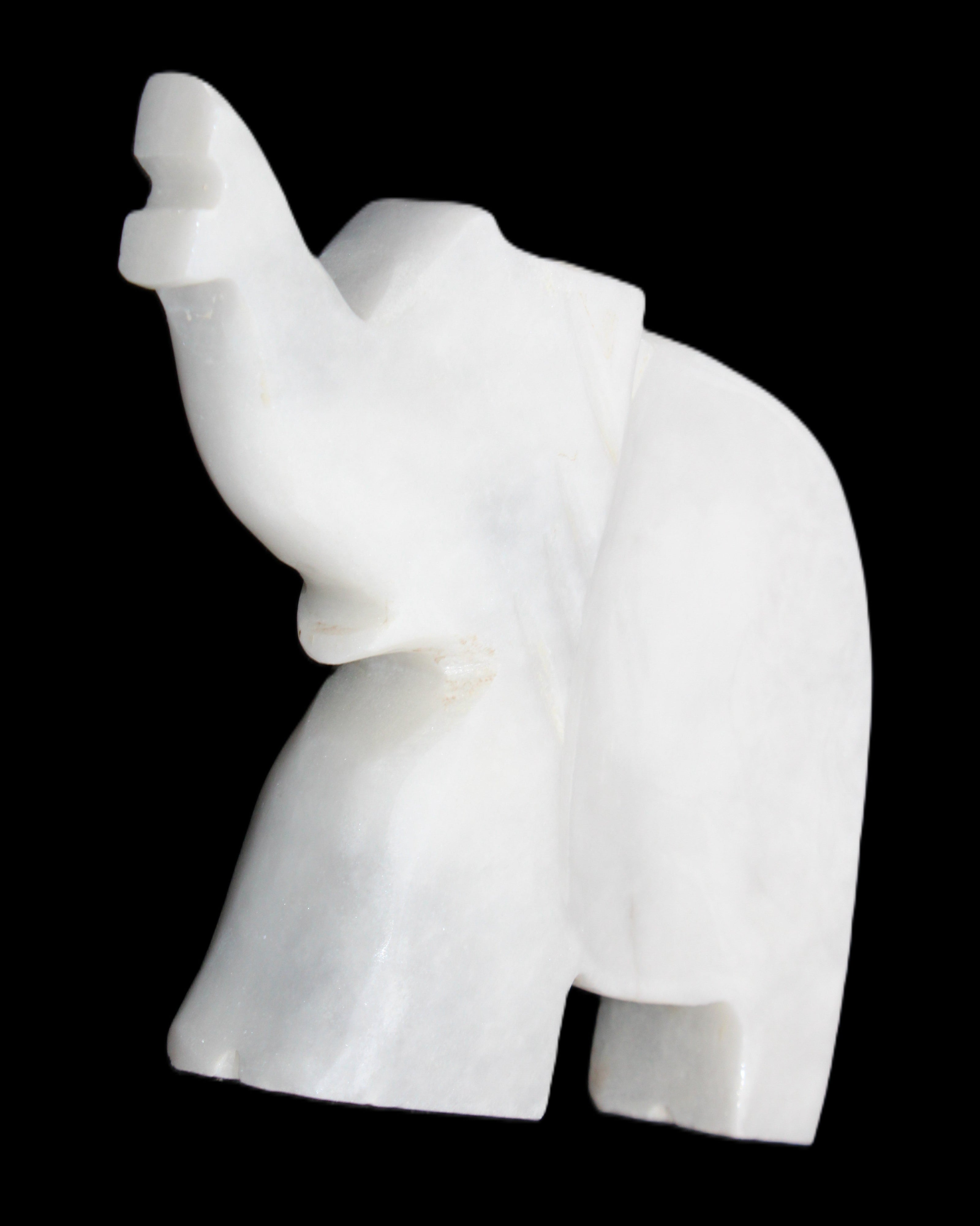 White Jade hand-carved Elephant platter 150*105*26mm 509g in sunlight - Rocks and Things Store
