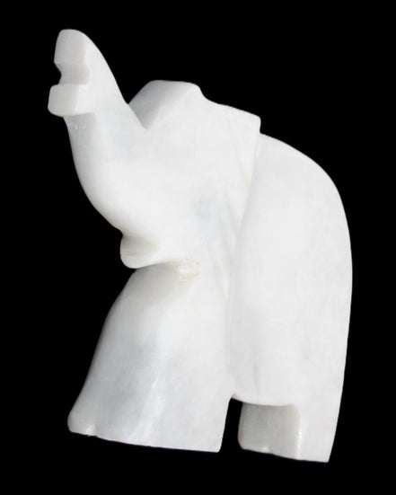White Jade hand-carved Elephant platter 150*105*26mm 509g in sunlight - Rocks and Things Store