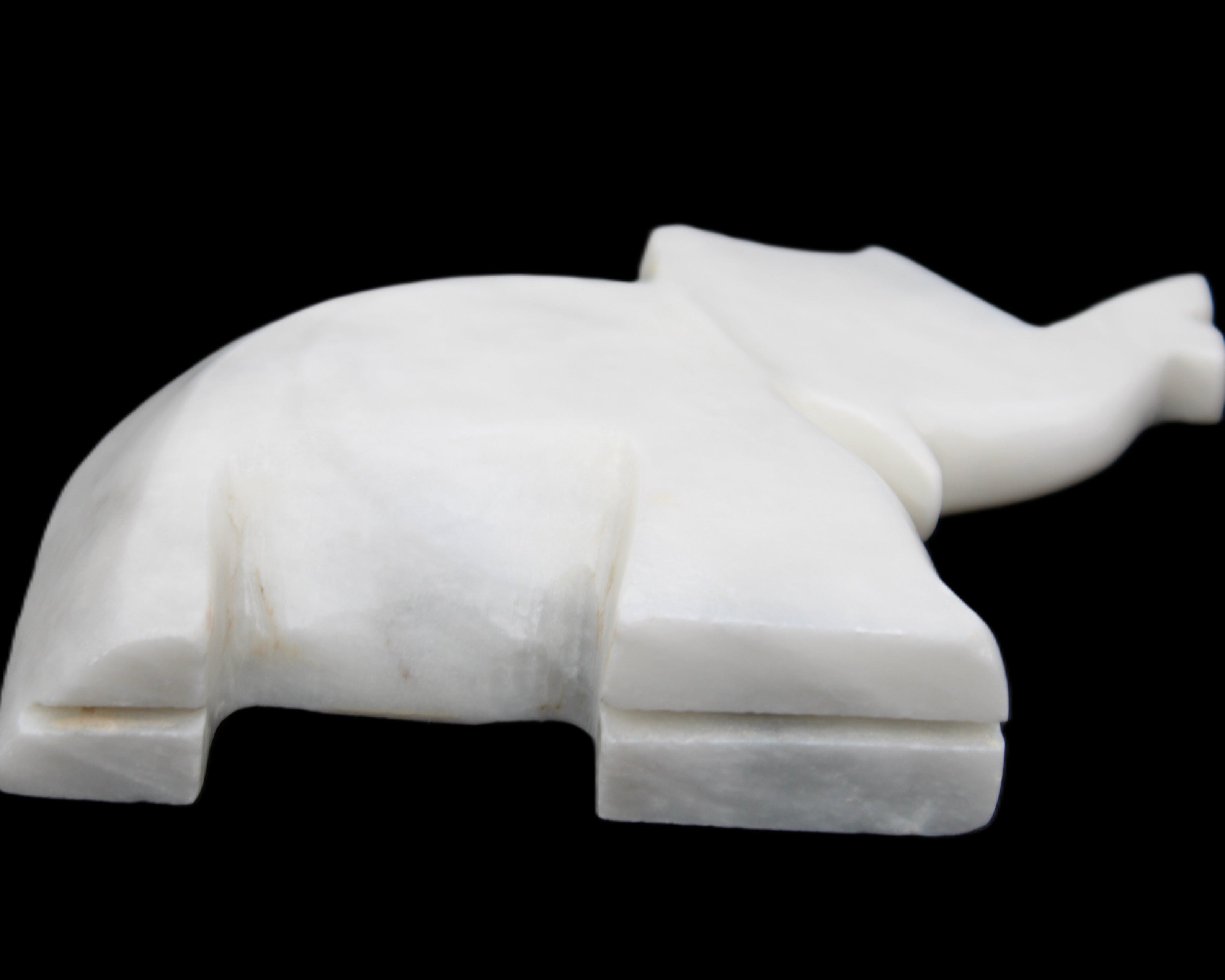 White Jade hand-carved Elephant platter 150*105*26mm 509g in sunlight - Rocks and Things Store