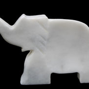 White Jade hand-carved Elephant platter 150*105*26mm 509g in sunlight - Rocks and Things Store