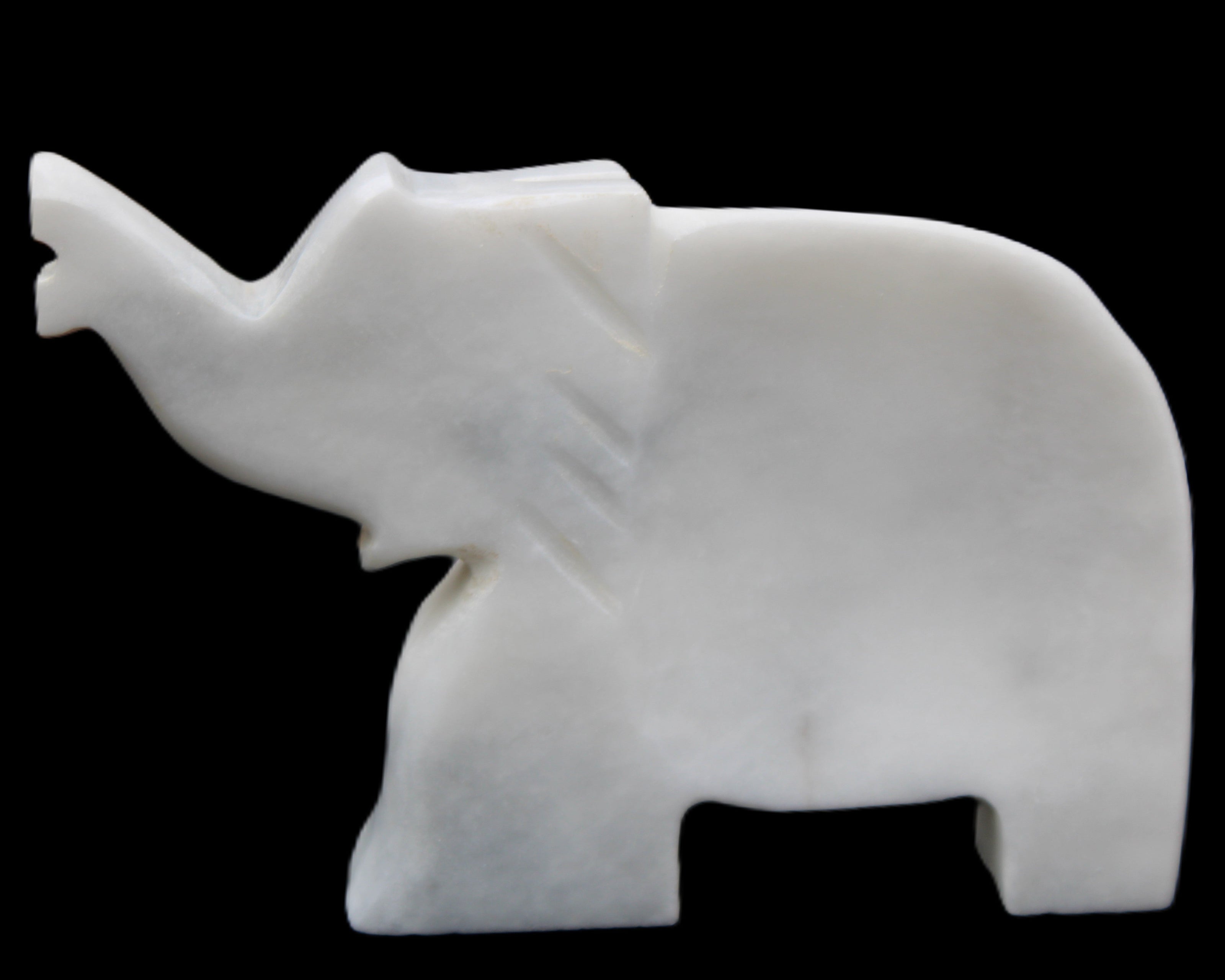 White Jade hand-carved Elephant platter 150*105*26mm 509g in sunlight - Rocks and Things Store