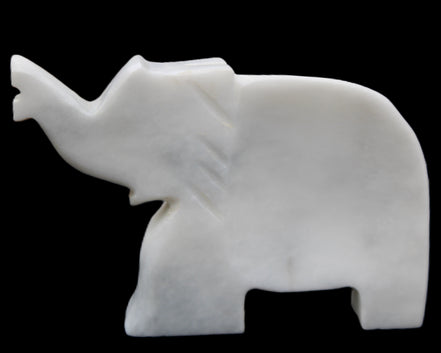 White Jade hand-carved Elephant platter 150*105*26mm 509g in sunlight - Rocks and Things Store