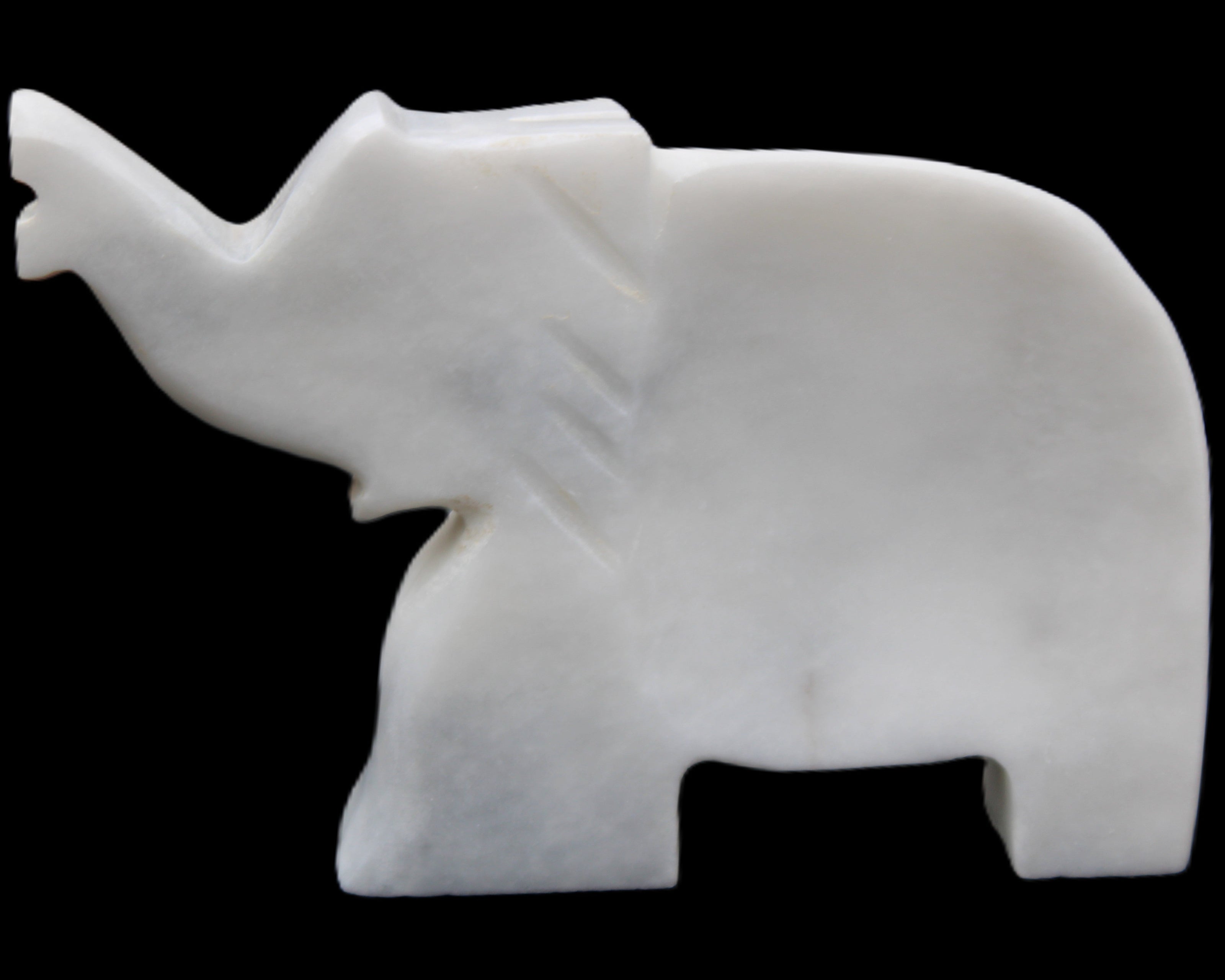 White Jade hand-carved Elephant platter 150*105*26mm 509g in sunlight - Rocks and Things Store