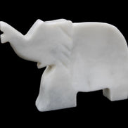 White Jade hand-carved Elephant platter 150*105*26mm 509g in sunlight - Rocks and Things Store