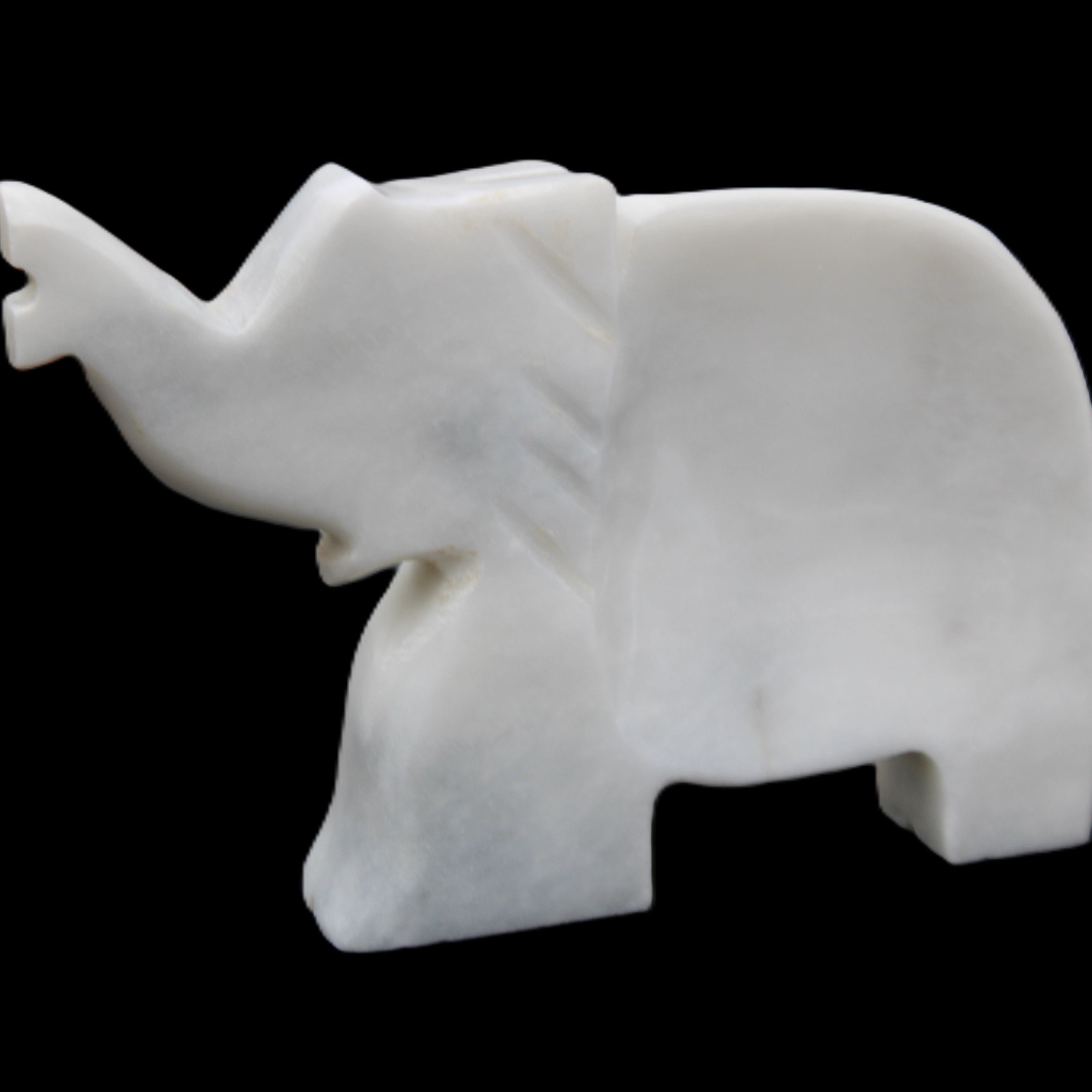 White Jade hand-carved Elephant platter 150*105*26mm 509g in sunlight - Rocks and Things Store