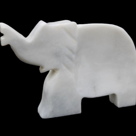 White Jade hand-carved Elephant platter 150*105*26mm 509g in sunlight - Rocks and Things Store