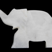 White Jade hand-carved Elephant platter 150*105*26mm 509g in sunlight - Rocks and Things Store