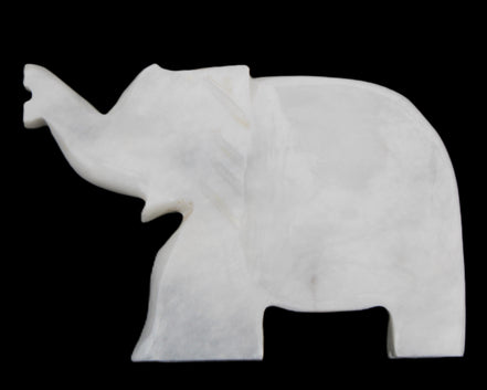 White Jade hand-carved Elephant platter 150*105*26mm 509g in sunlight - Rocks and Things Store