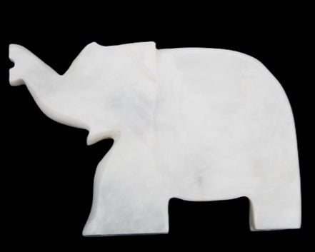 White Jade hand-carved Elephant platter 150*105*26mm 509g in sunlight - Rocks and Things Store