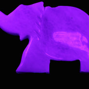 White Jade hand-carved Elephant platter 152*102*21mm 419g in UV light - Rocks and Things Store