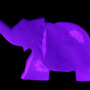 White Jade hand-carved Elephant platter 152*102*21mm 419g in UV light - Rocks and Things Store