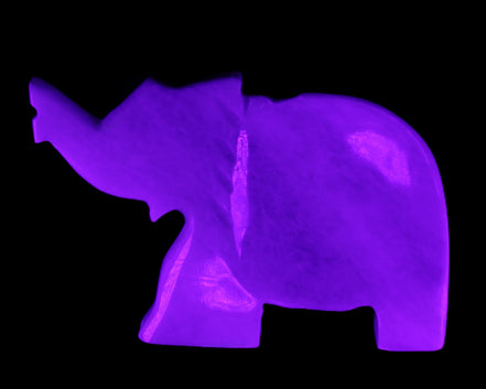 White Jade hand-carved Elephant platter 152*102*21mm 419g in UV light - Rocks and Things Store