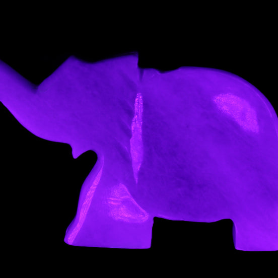 White Jade hand-carved Elephant platter 152*102*21mm 419g in UV light - Rocks and Things Store