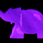 White Jade hand-carved Elephant platter 152*102*21mm 419g in UV light - Rocks and Things Store