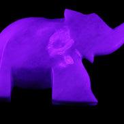 White Jade hand-carved Elephant platter 152*102*21mm 419g in UV light - Rocks and Things Store