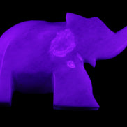 White Jade hand-carved Elephant platter 152*102*21mm 419g in UV light - Rocks and Things Store