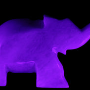 White Jade hand-carved Elephant platter 152*102*21mm 419g in UV light - Rocks and Things Store