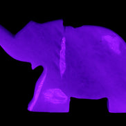 White Jade hand-carved Elephant platter 152*102*21mm 419g in UV light - Rocks and Things Store