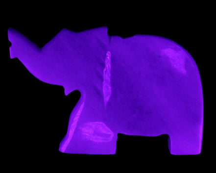 White Jade hand-carved Elephant platter 152*102*21mm 419g in UV light - Rocks and Things Store