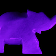 White Jade hand-carved Elephant platter 152*102*21mm 419g in UV light - Rocks and Things Store