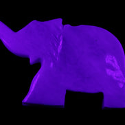 White Jade hand-carved Elephant platter 152*102*21mm 419g in UV light - Rocks and Things Store