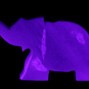 White Jade hand-carved Elephant platter 152*102*21mm 419g in UV light - Rocks and Things Store