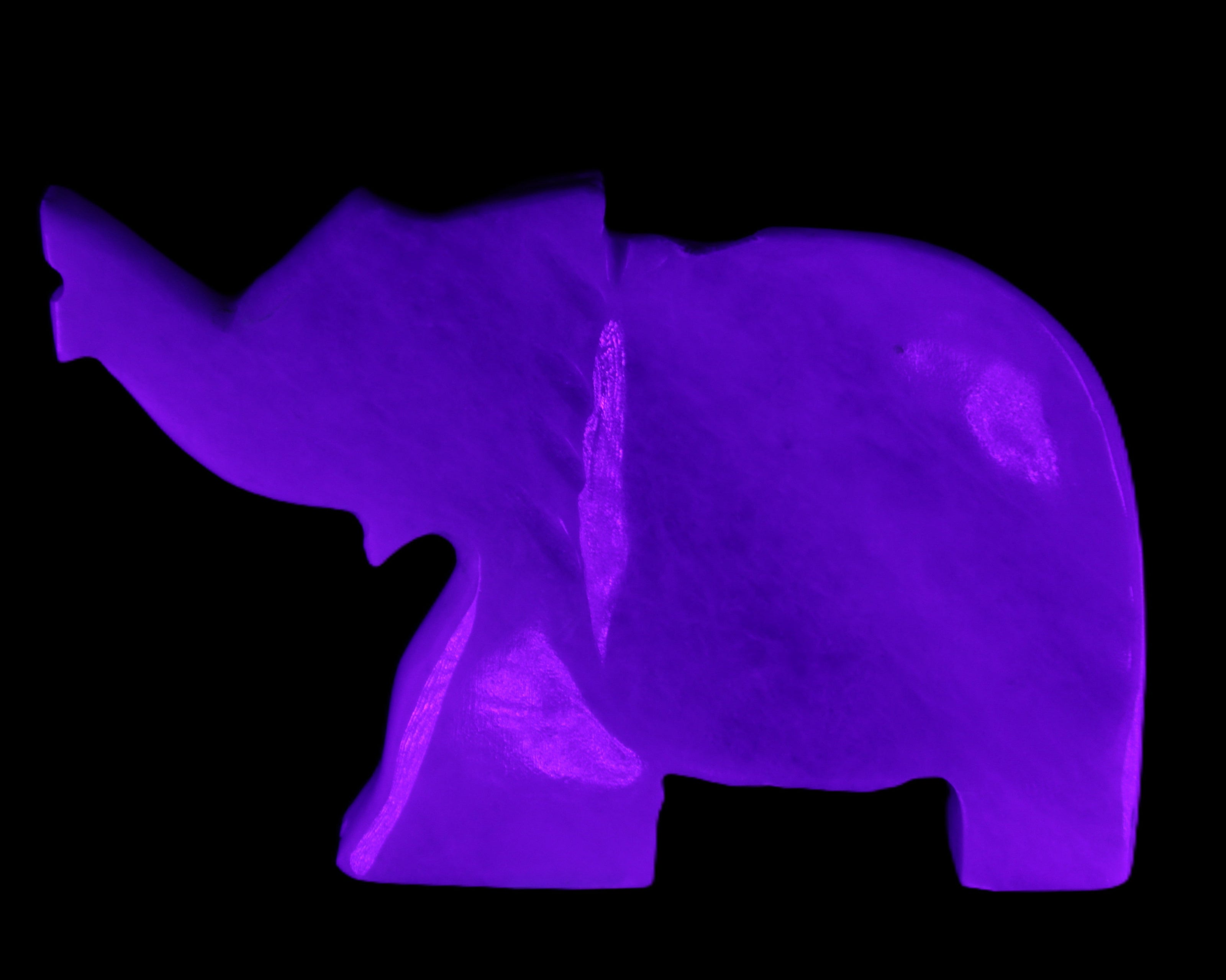 White Jade hand-carved Elephant platter 152*102*21mm 419g in UV light - Rocks and Things Store